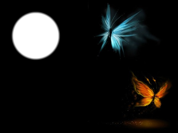 papillons de nuit Fotomontage