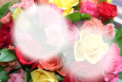 fleur coloring Montaje fotografico