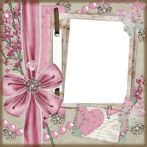 marco lazo y mariposas rosadas. Photo frame effect