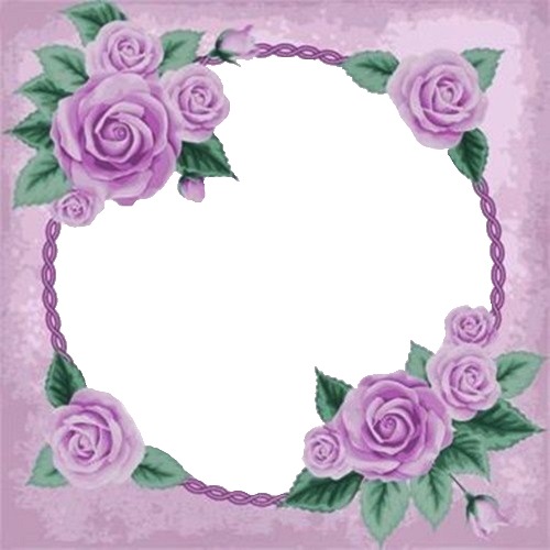 marco y rosas lila. Fotomontage