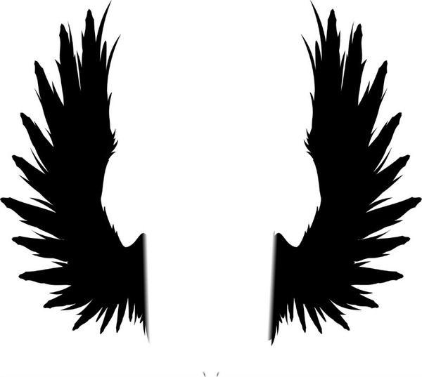 ailes noires Φωτομοντάζ