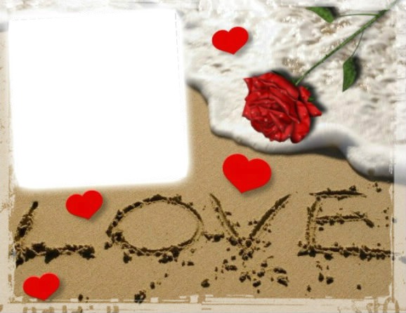 LOVE AND ROSE Photo frame effect