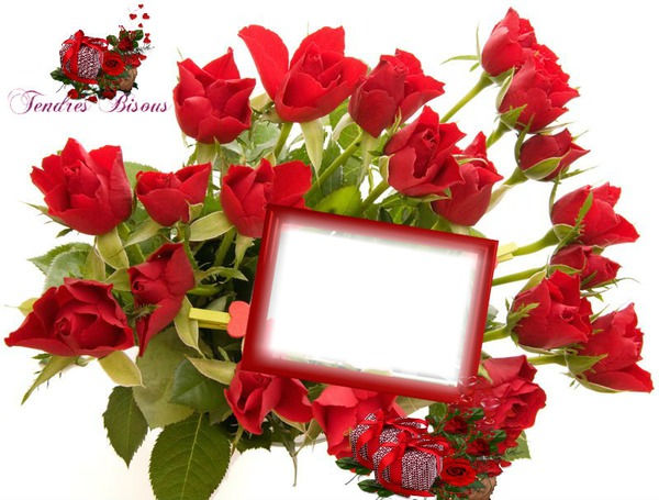 Cadre de roses rouge Photomontage