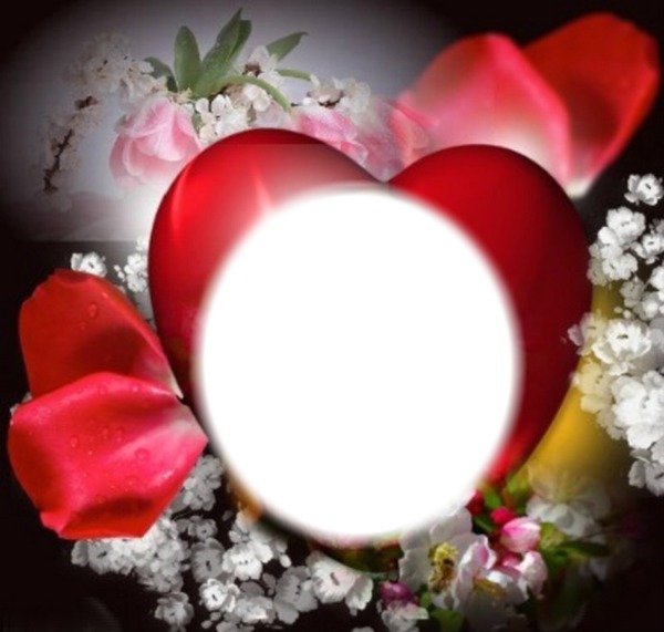 Coeur rouge Photo frame effect