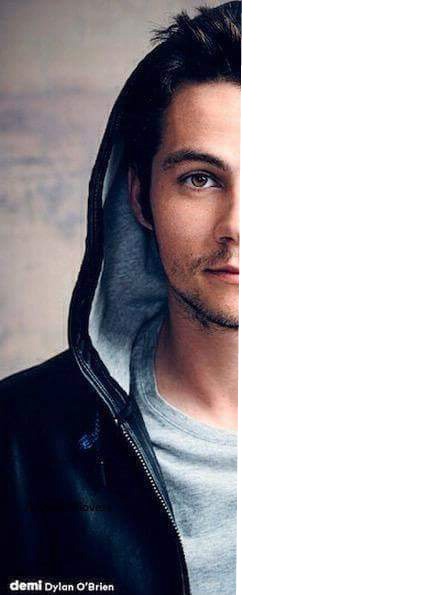 Dylan's Face Photomontage