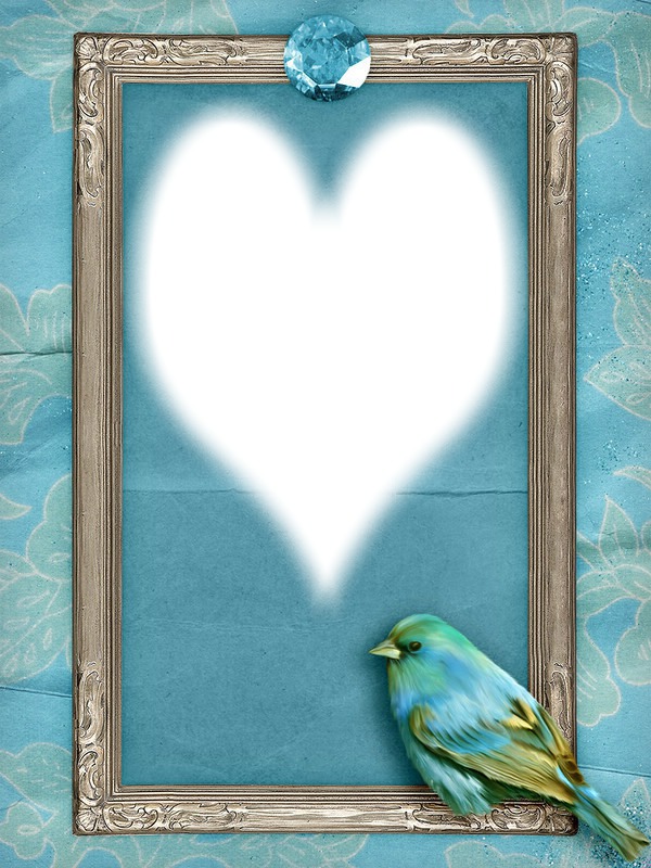 cadre bleu oiseau coeur Fotomontaż