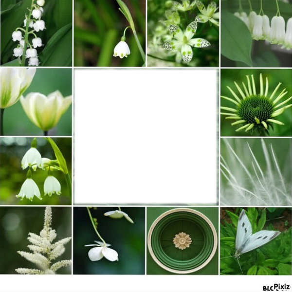 cadre vert avec fleurs Fotómontázs