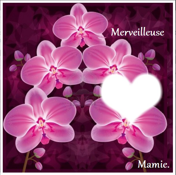 carte postale orchidée "merveilleuse mamie" bonne fête mamie Valokuvamontaasi