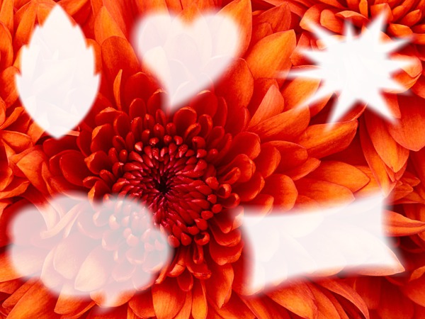 collage de flor con 5 fotos Fotomontaggio