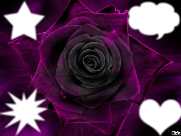 rose noir Fotomontage