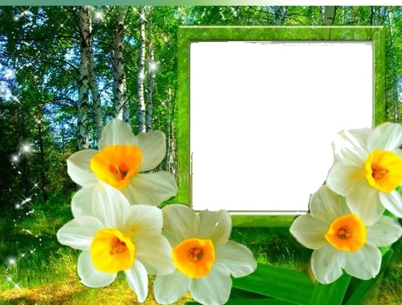 flowers Fotomontage