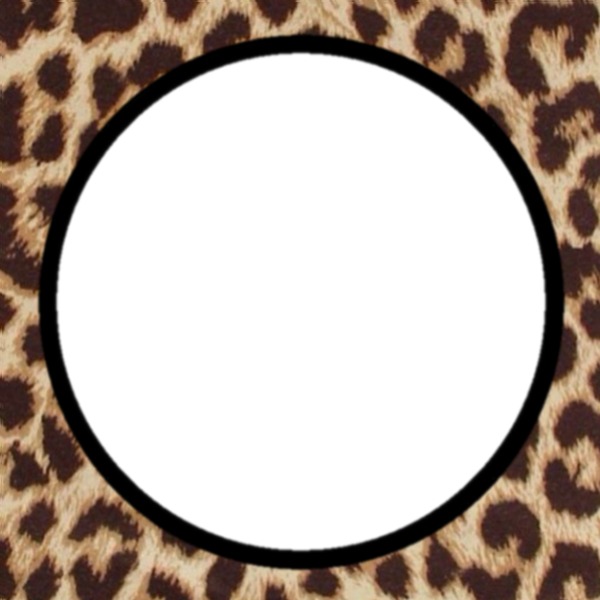 marco leopardo, 1 foto Fotomontagem