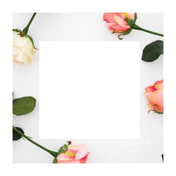 frame flowers Fotomontaggio