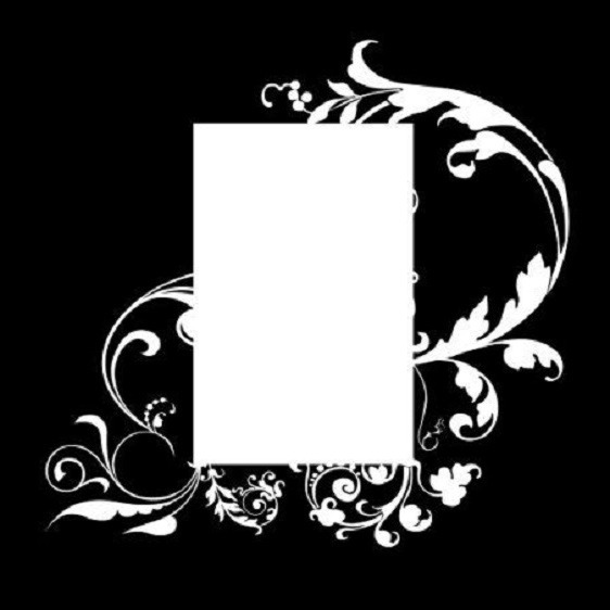 marco y flores blancas, fondo negro. Fotomontáž