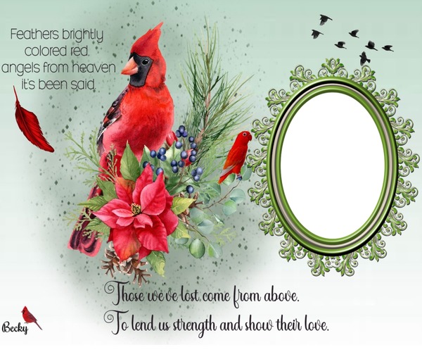 feathers colored red Photo frame effect