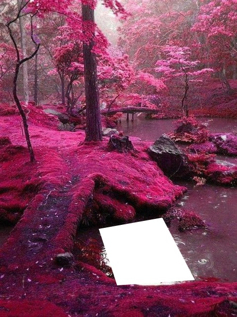 Bosque rosa Fotomontaggio
