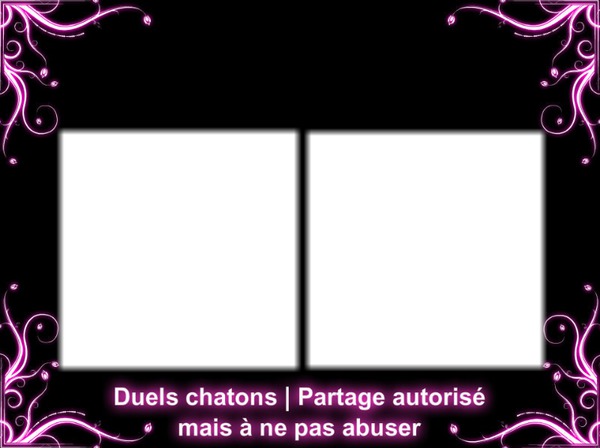 duels chatons Photo frame effect