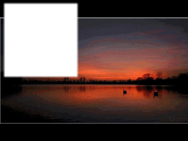 sunset swan Fotomontasje