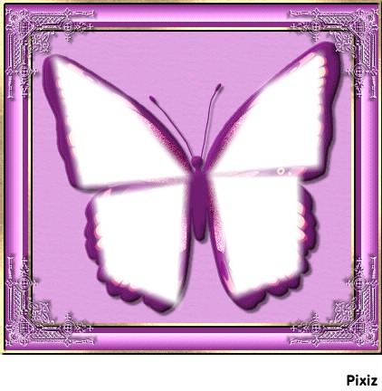 Papillon violet フォトモンタージュ