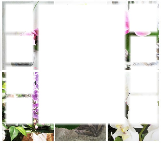 cadre 9 photos orchidées Photo frame effect