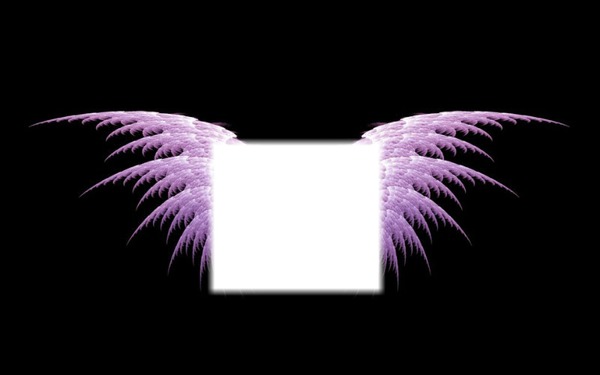 ailes d anges mauves Photomontage