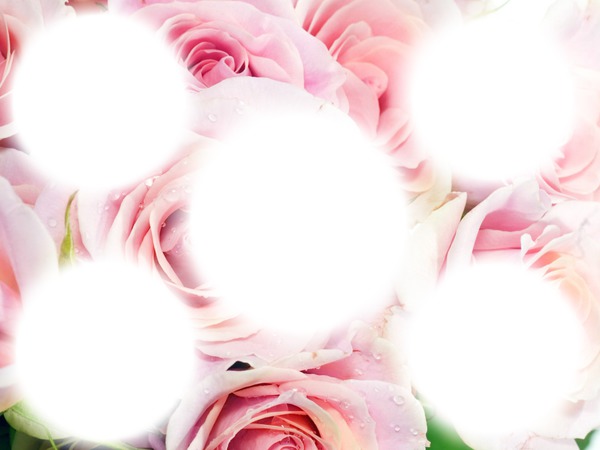 beautiful roses Photomontage
