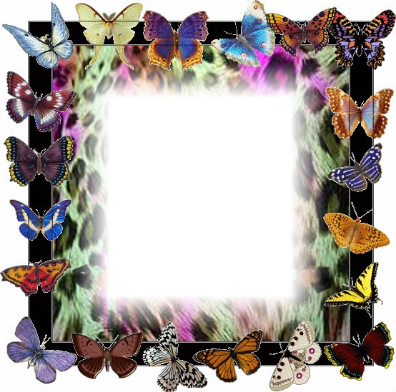 leo butterfly Photomontage