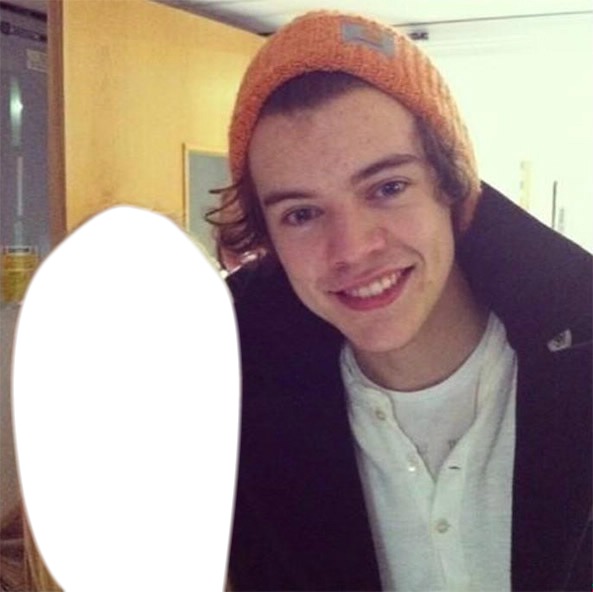 Harry And Fans Montage photo