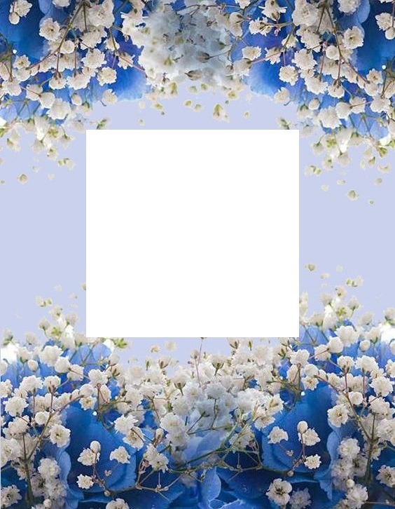 marco y florecillas blancas, fondo azul. Photomontage