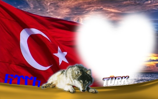 türk bayrağı. bozkurt. Φωτομοντάζ