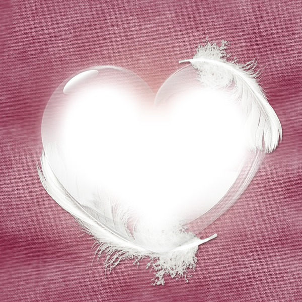 cadre coeur avec plumes Фотомонтаж