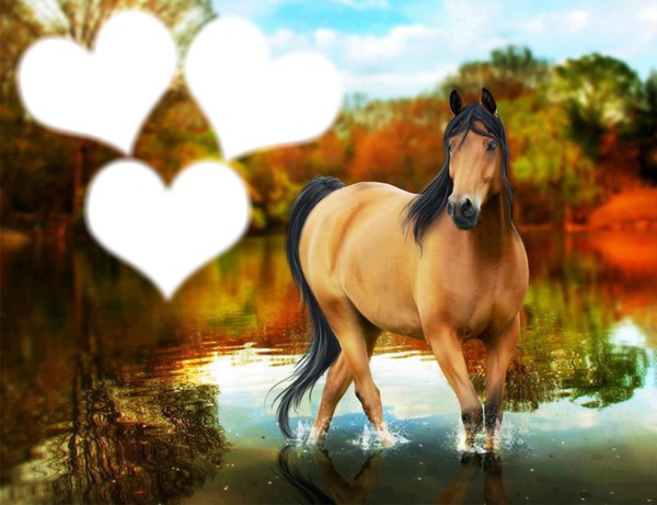 love cheval Photomontage