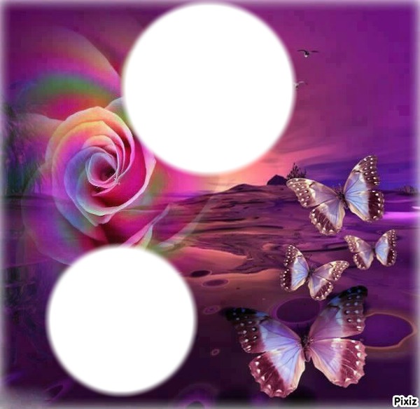 Lila Schmetterlinge Fotomontage