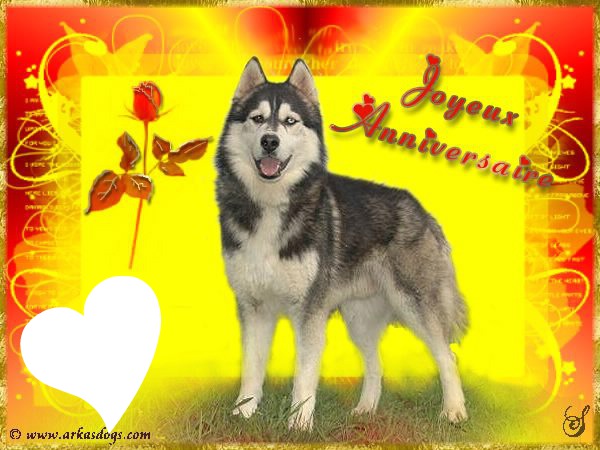 anniversaire loup Photo frame effect