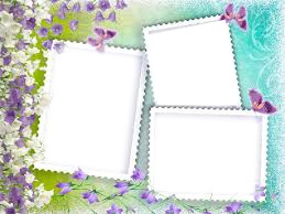 quince Photo frame effect
