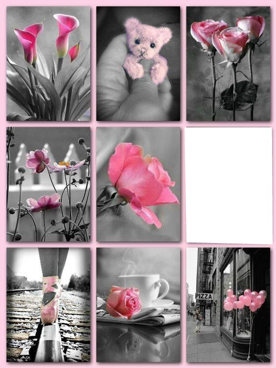 rosé Photo frame effect