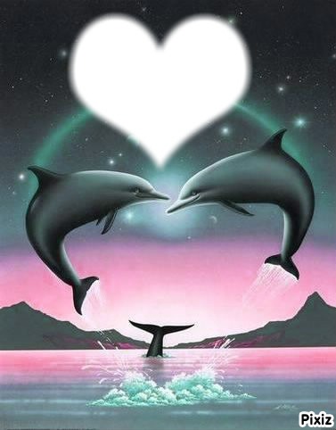 un amour de dauphin Valokuvamontaasi