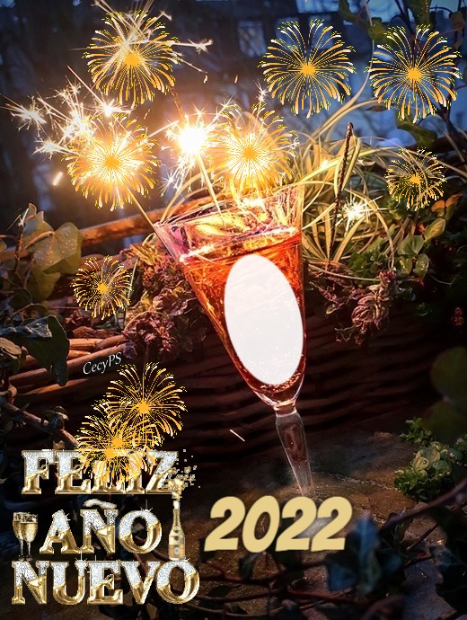 Cc Feliz 2022 Photomontage