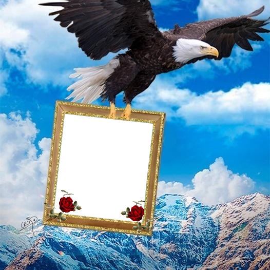 Cc Águila  con tu retrato Fotomontaggio