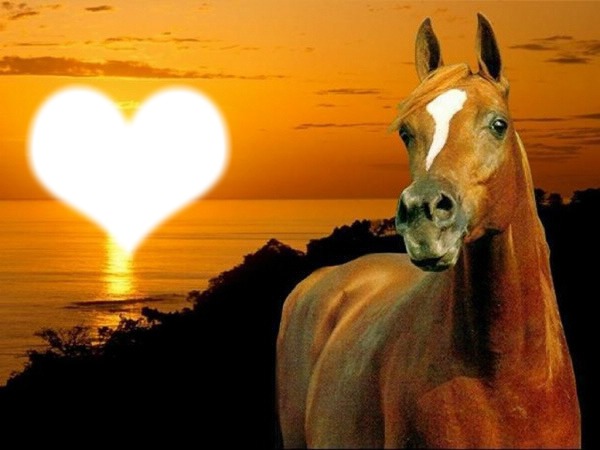 j aime les chevaux Фотомонтажа