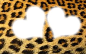 Leopard <3 Photomontage