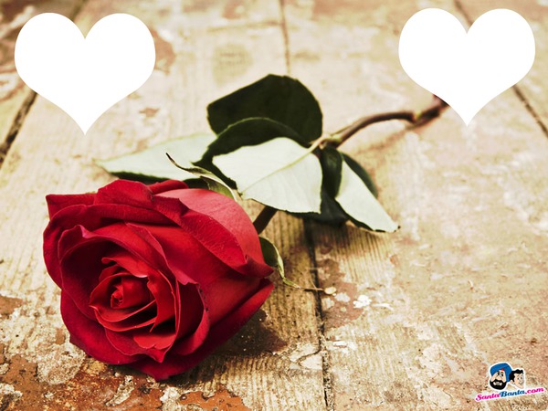 Love and Rose Fotomontaggio