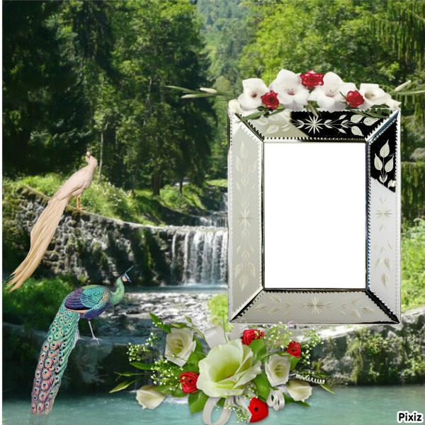nature Photo frame effect