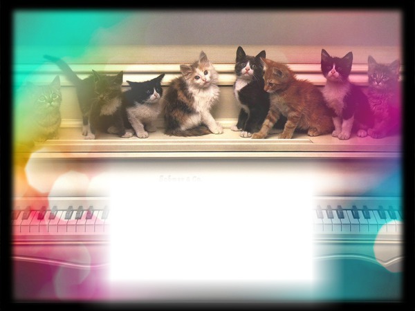 Chats sur un piano Φωτομοντάζ
