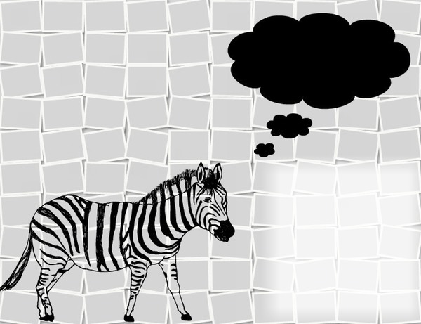 zebra Fotómontázs