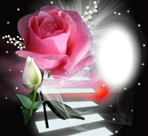 Cadre de Rose Fotomontage