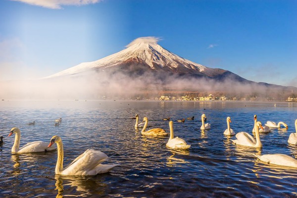 Patos volcan Montaje fotografico