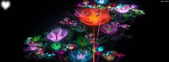 Flores luminosas "Capa" Fotomontagem