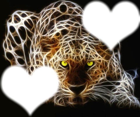 amour de léopard Photo frame effect