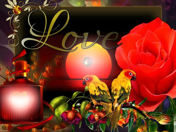 Love Rose Fotomontasje